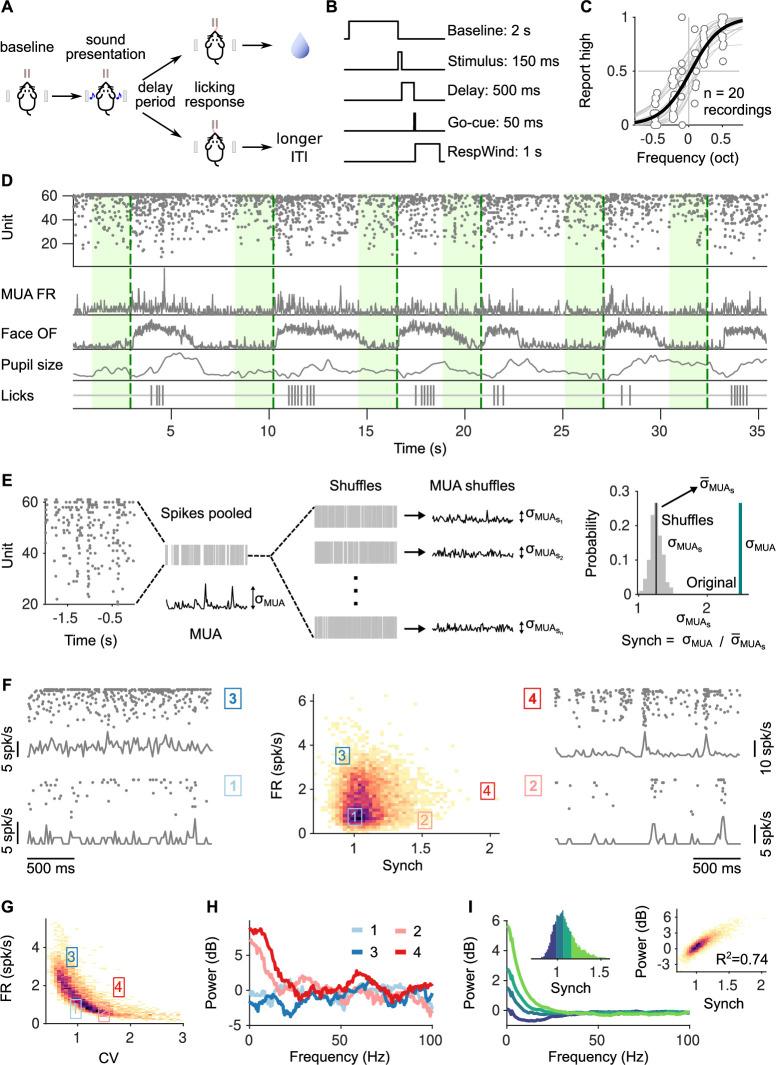 https://cdn.ncbi.nlm.nih.gov/pmc/blobs/6d1c/10241512/bd77b1f5a4a6/elife-81774-fig1.jpg