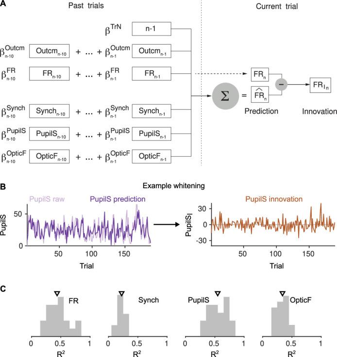https://cdn.ncbi.nlm.nih.gov/pmc/blobs/6d1c/10241512/bf3c1df54f1e/elife-81774-fig2-figsupp2.jpg