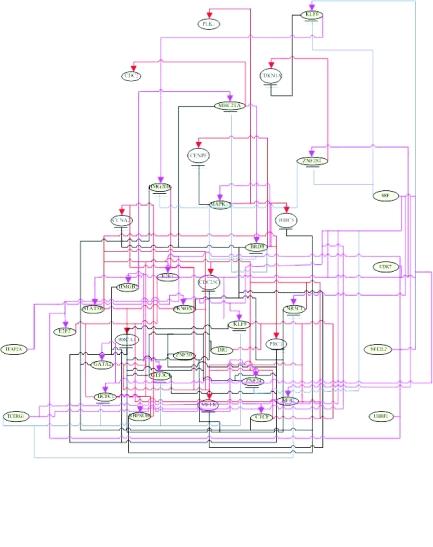https://cdn.ncbi.nlm.nih.gov/pmc/blobs/6d1d/2675491/74d682506445/CIN-02-223-g008.jpg