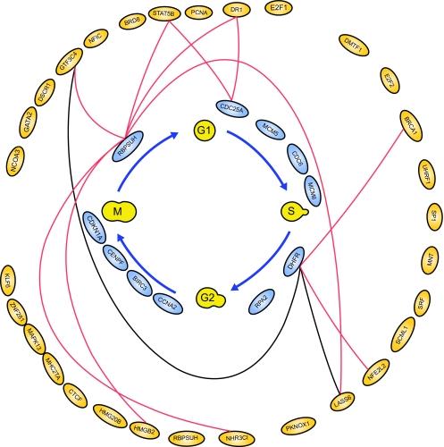 https://cdn.ncbi.nlm.nih.gov/pmc/blobs/6d1d/2675491/ebfee6c8f225/CIN-02-223-g006.jpg