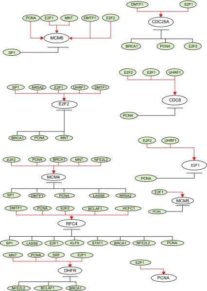 https://cdn.ncbi.nlm.nih.gov/pmc/blobs/6d1d/2675491/ec8f43308422/CIN-02-223-g003.jpg
