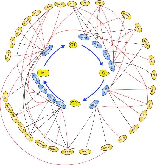 https://cdn.ncbi.nlm.nih.gov/pmc/blobs/6d1d/2675491/fa433a59081b/CIN-02-223-g005.jpg