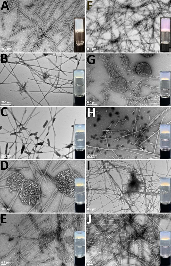 https://cdn.ncbi.nlm.nih.gov/pmc/blobs/6d1f/9930093/2bc5596fd859/ab2c01299_0004.jpg