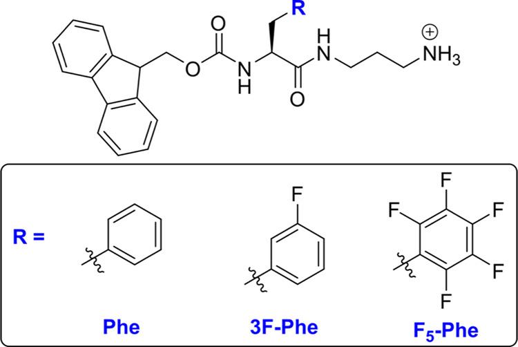https://cdn.ncbi.nlm.nih.gov/pmc/blobs/6d1f/9930093/3425be1e338f/ab2c01299_0002.jpg