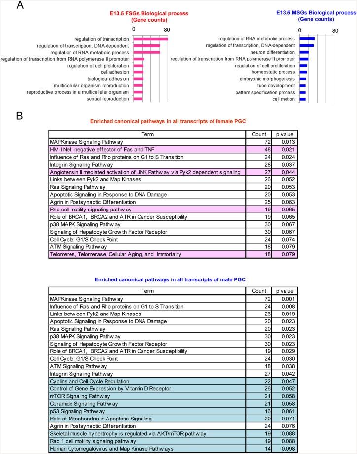 https://cdn.ncbi.nlm.nih.gov/pmc/blobs/6d20/4689518/3094cf5bdcd1/pone.0144836.g003.jpg