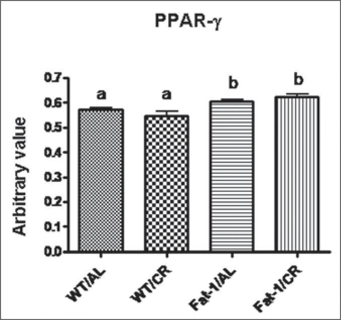 https://cdn.ncbi.nlm.nih.gov/pmc/blobs/6d21/2835919/68f9bc3d2b80/omcl0205_0307_fig006.jpg