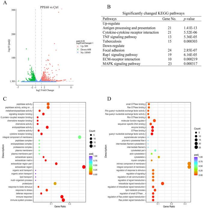 https://cdn.ncbi.nlm.nih.gov/pmc/blobs/6d22/10170423/0b74df2fa55a/203_2023_3576_Fig4_HTML.jpg