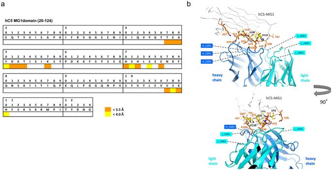 https://cdn.ncbi.nlm.nih.gov/pmc/blobs/6d22/5430875/b53bf40162ea/41598_2017_1087_Fig5_HTML.jpg
