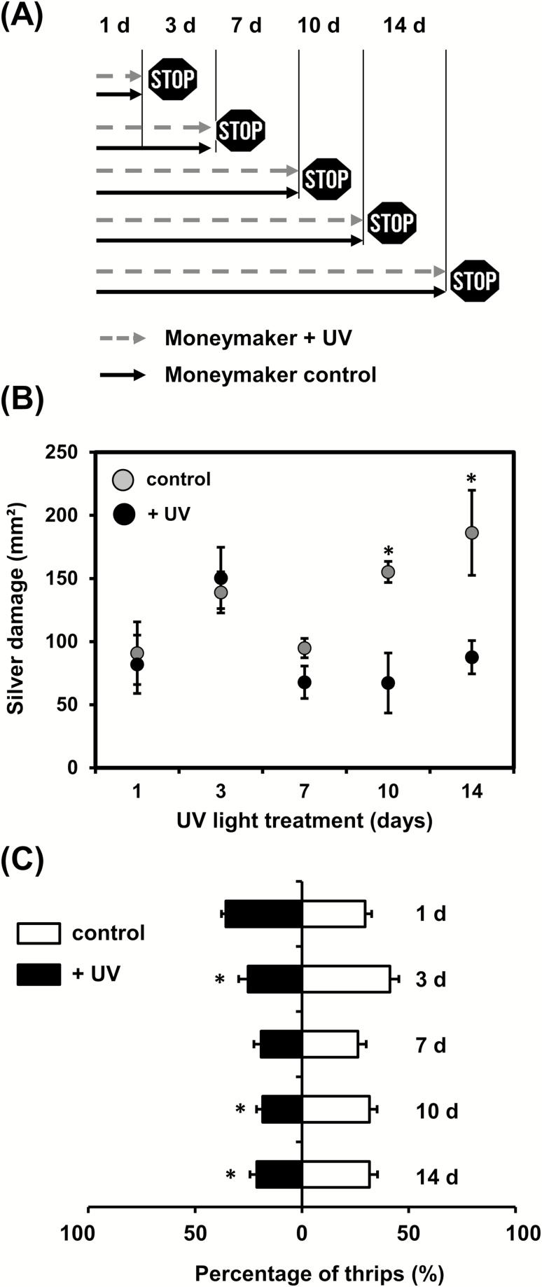 https://cdn.ncbi.nlm.nih.gov/pmc/blobs/6d22/6305188/a5891c232733/ery34702.jpg