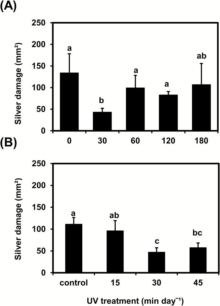 https://cdn.ncbi.nlm.nih.gov/pmc/blobs/6d22/6305188/fbc843c6c6c3/ery34701.jpg
