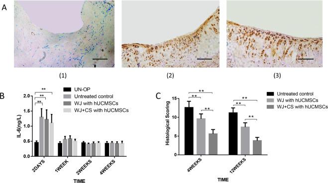 https://cdn.ncbi.nlm.nih.gov/pmc/blobs/6d23/8007499/56bd0db2f83b/10856_2021_6506_Fig4_HTML.jpg