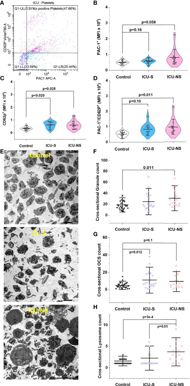 https://cdn.ncbi.nlm.nih.gov/pmc/blobs/6d24/9720295/3c20790223e3/fimmu-13-1022401-g005.jpg