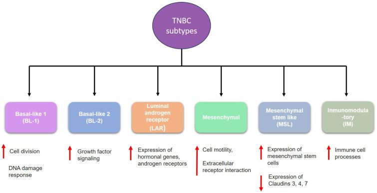 https://cdn.ncbi.nlm.nih.gov/pmc/blobs/6d25/11476567/15ffd38abdb7/ijms-25-10712-g002.jpg