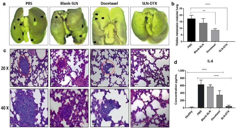 https://cdn.ncbi.nlm.nih.gov/pmc/blobs/6d25/11476567/53c21b3b3b91/ijms-25-10712-g009.jpg