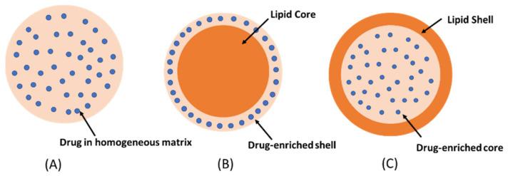 https://cdn.ncbi.nlm.nih.gov/pmc/blobs/6d25/11476567/7fa173232bbb/ijms-25-10712-g005.jpg