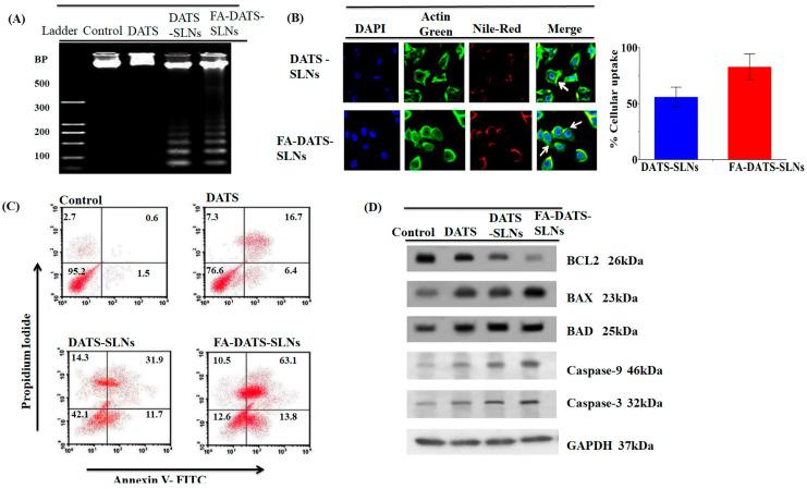 https://cdn.ncbi.nlm.nih.gov/pmc/blobs/6d25/11476567/e83de7345fe5/ijms-25-10712-g008.jpg