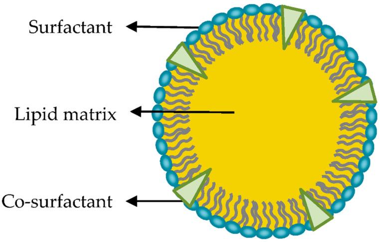 https://cdn.ncbi.nlm.nih.gov/pmc/blobs/6d25/11476567/f307b35add51/ijms-25-10712-g004.jpg