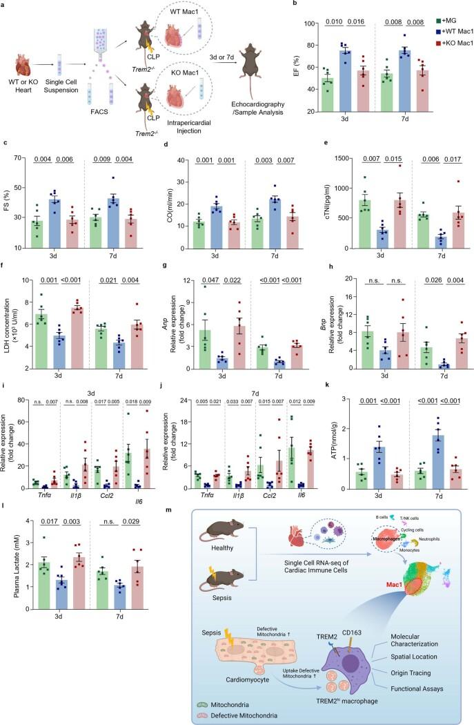 https://cdn.ncbi.nlm.nih.gov/pmc/blobs/6d25/9886554/113a03f44278/42255_2022_715_Fig17_ESM.jpg
