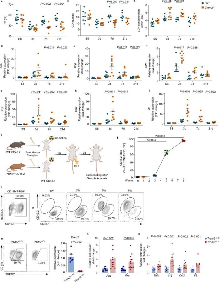 https://cdn.ncbi.nlm.nih.gov/pmc/blobs/6d25/9886554/3d2bbdb2db6f/42255_2022_715_Fig15_ESM.jpg