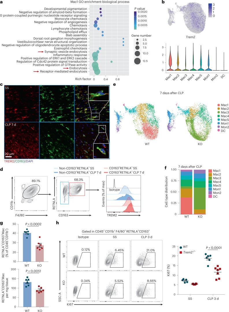 https://cdn.ncbi.nlm.nih.gov/pmc/blobs/6d25/9886554/3d961d6f6546/42255_2022_715_Fig4_HTML.jpg