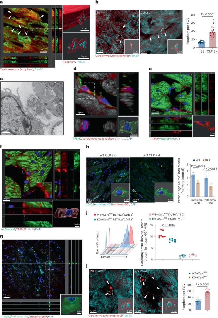 https://cdn.ncbi.nlm.nih.gov/pmc/blobs/6d25/9886554/41acbacedd8f/42255_2022_715_Fig5_HTML.jpg