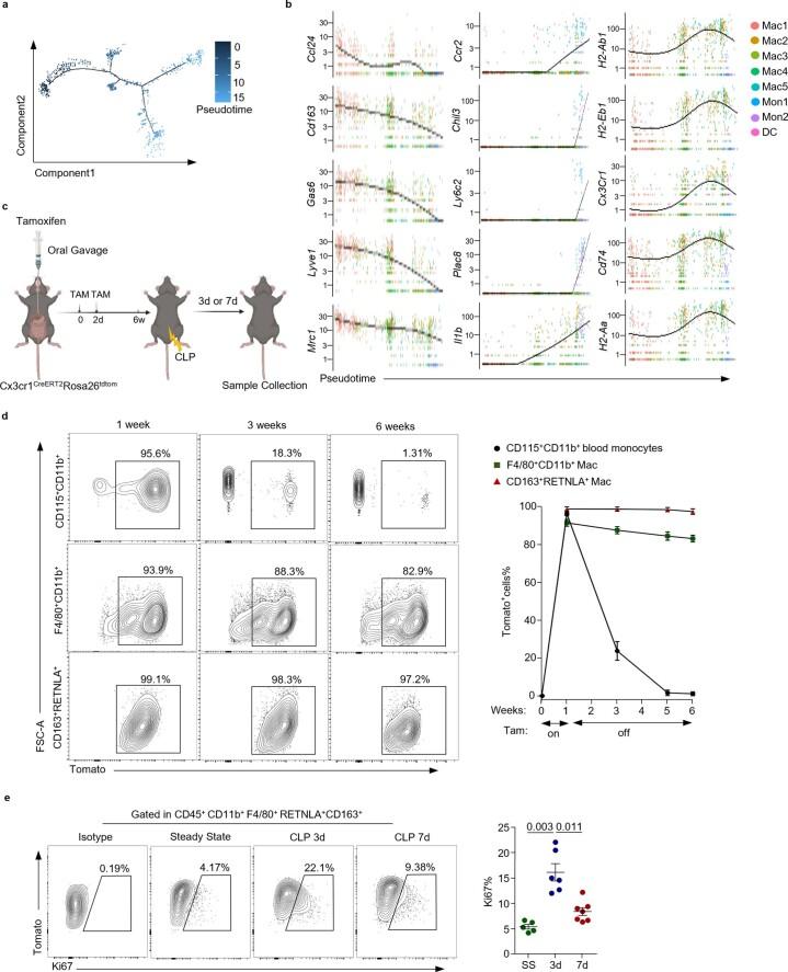 https://cdn.ncbi.nlm.nih.gov/pmc/blobs/6d25/9886554/a4a169bd9641/42255_2022_715_Fig11_ESM.jpg