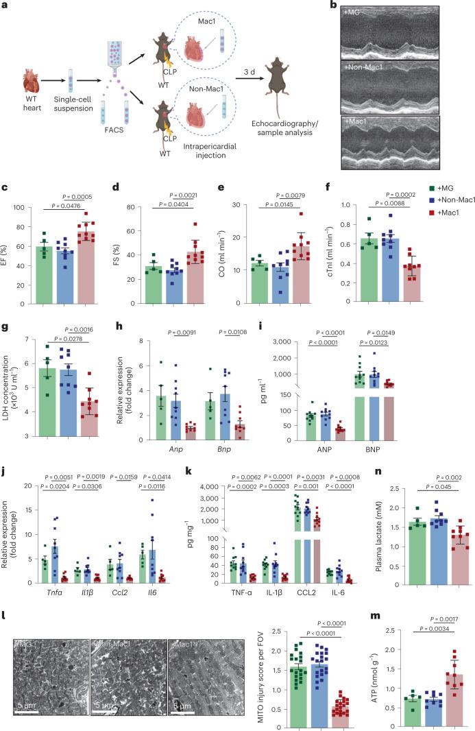 https://cdn.ncbi.nlm.nih.gov/pmc/blobs/6d25/9886554/bbf42a0472be/42255_2022_715_Fig7_HTML.jpg