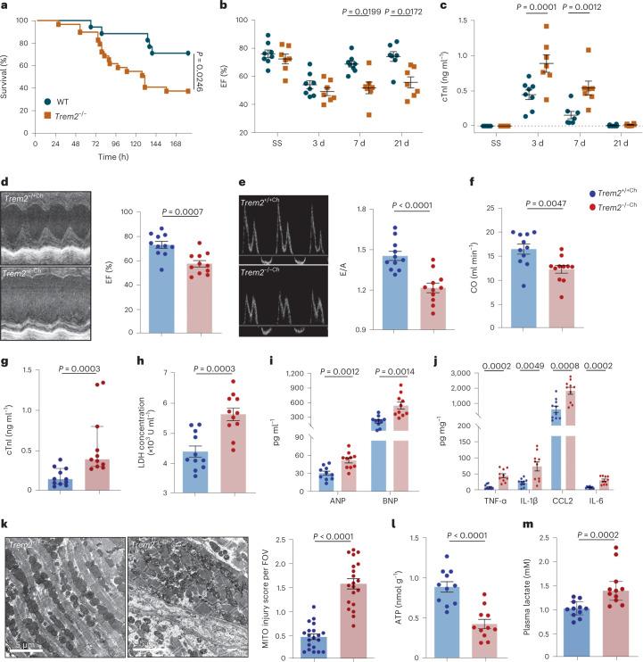 https://cdn.ncbi.nlm.nih.gov/pmc/blobs/6d25/9886554/cd4395fb48dc/42255_2022_715_Fig6_HTML.jpg