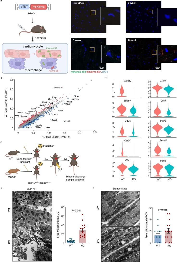 https://cdn.ncbi.nlm.nih.gov/pmc/blobs/6d25/9886554/dd49be46e31f/42255_2022_715_Fig14_ESM.jpg