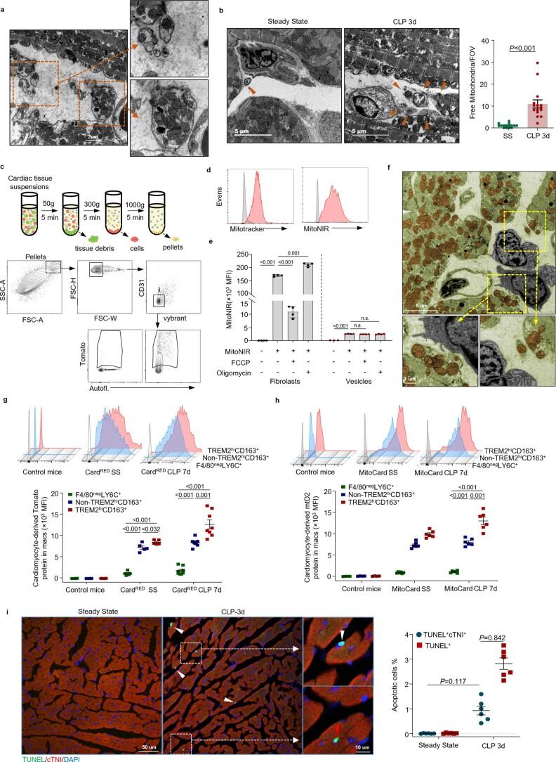 https://cdn.ncbi.nlm.nih.gov/pmc/blobs/6d25/9886554/ecd6d757f851/42255_2022_715_Fig13_ESM.jpg