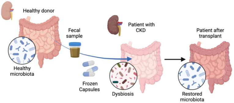 https://cdn.ncbi.nlm.nih.gov/pmc/blobs/6d26/11055146/12c8d8601fb4/nutrients-16-01109-g001.jpg