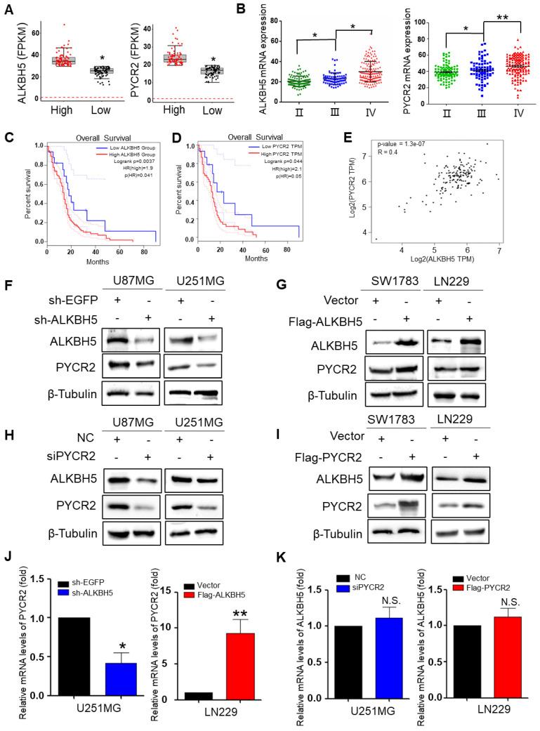 https://cdn.ncbi.nlm.nih.gov/pmc/blobs/6d27/10266253/78c564cd3921/jcav14p1579g003.jpg