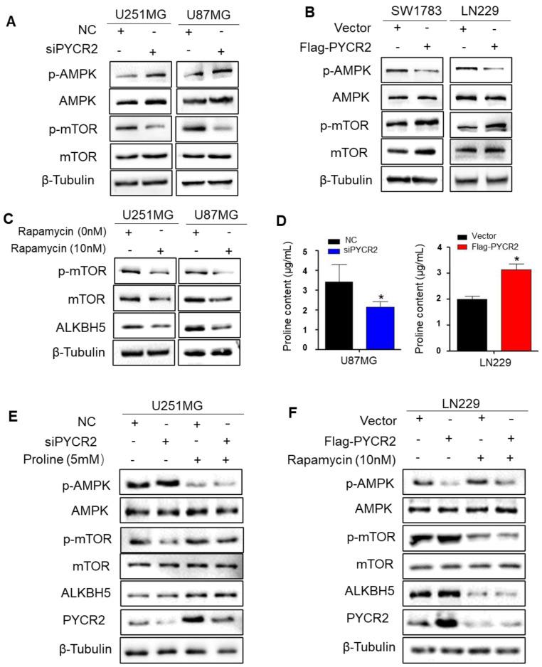 https://cdn.ncbi.nlm.nih.gov/pmc/blobs/6d27/10266253/a17ff9fa338c/jcav14p1579g004.jpg