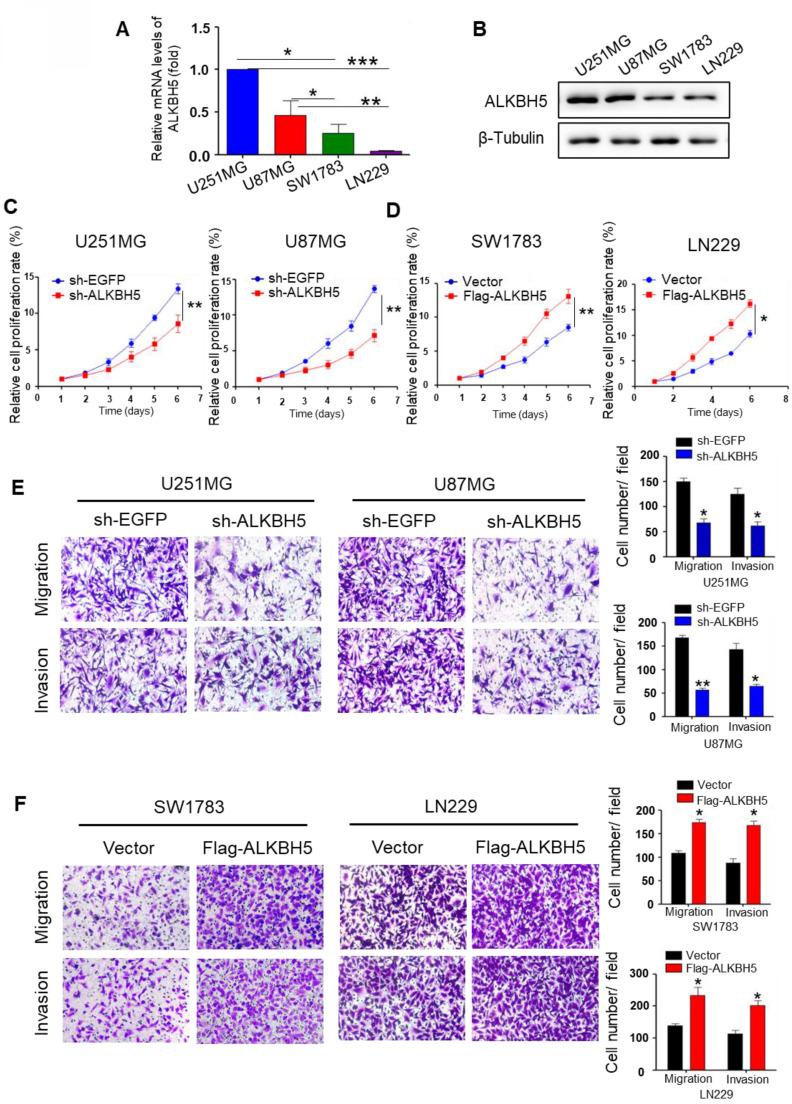 https://cdn.ncbi.nlm.nih.gov/pmc/blobs/6d27/10266253/b7b51d324154/jcav14p1579g001.jpg