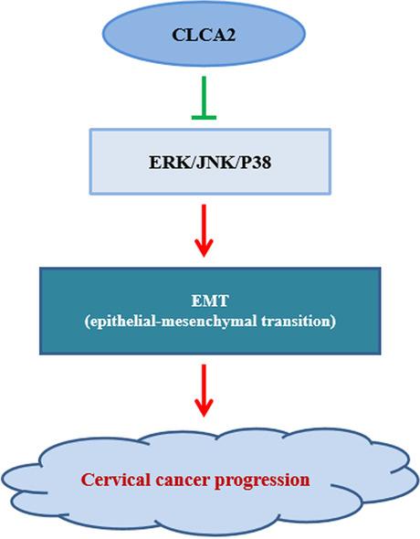 https://cdn.ncbi.nlm.nih.gov/pmc/blobs/6d28/9594891/a29f613cf113/12860_2022_440_Fig5_HTML.jpg
