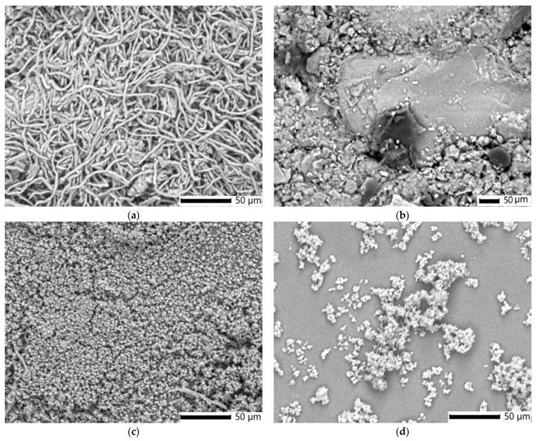 https://cdn.ncbi.nlm.nih.gov/pmc/blobs/6d2b/12349574/44d1de628a2c/polymers-17-02163-g006.jpg