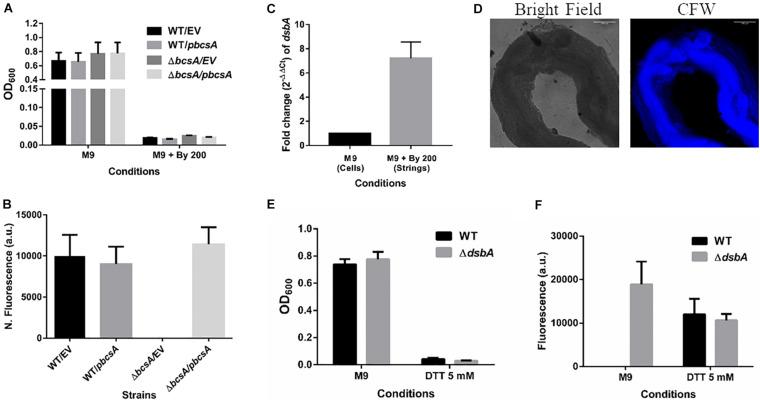 https://cdn.ncbi.nlm.nih.gov/pmc/blobs/6d2c/7769011/24839e7b1a72/fmicb-11-613704-g006.jpg