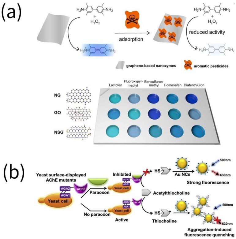 https://cdn.ncbi.nlm.nih.gov/pmc/blobs/6d2e/9856088/3315f27e1563/biosensors-13-00069-g003.jpg