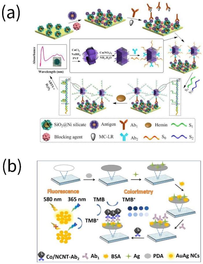 https://cdn.ncbi.nlm.nih.gov/pmc/blobs/6d2e/9856088/4c6db607906c/biosensors-13-00069-g002.jpg
