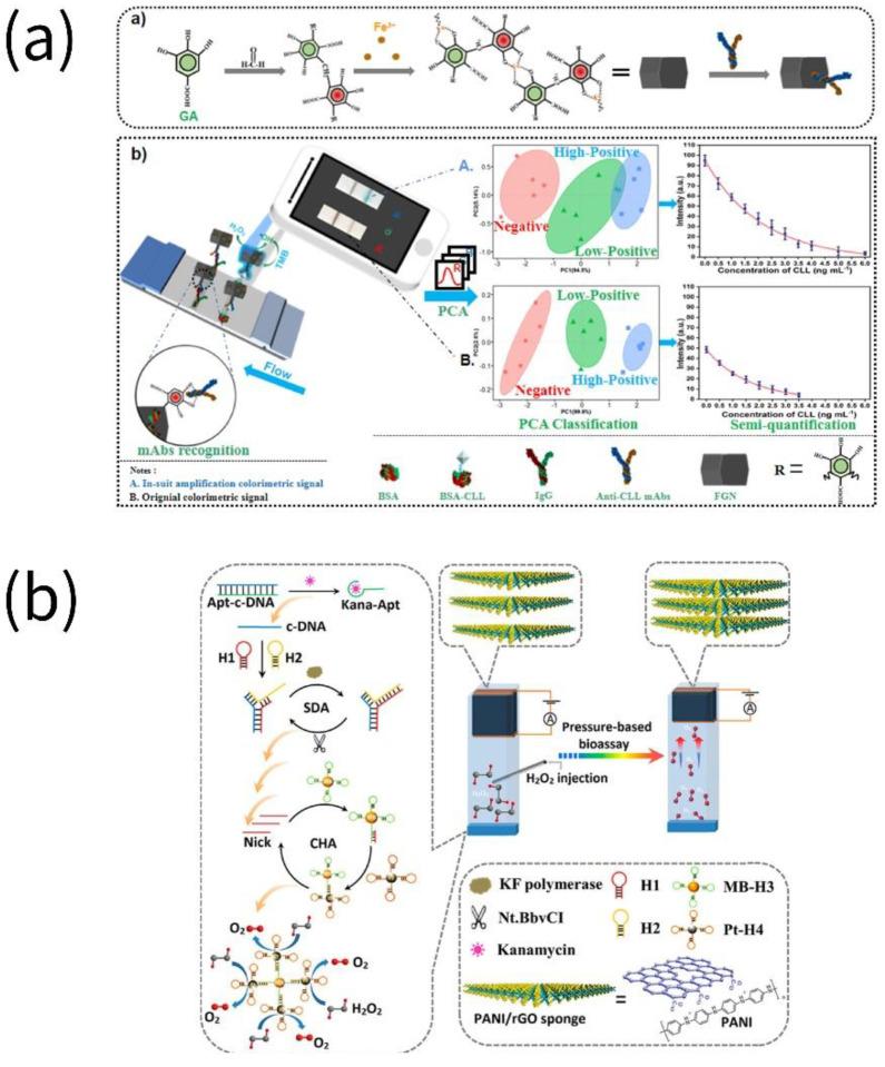 https://cdn.ncbi.nlm.nih.gov/pmc/blobs/6d2e/9856088/6c2f6fef2ef1/biosensors-13-00069-g004.jpg