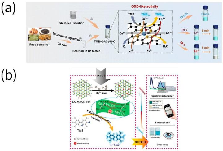 https://cdn.ncbi.nlm.nih.gov/pmc/blobs/6d2e/9856088/9a369356874c/biosensors-13-00069-g005.jpg