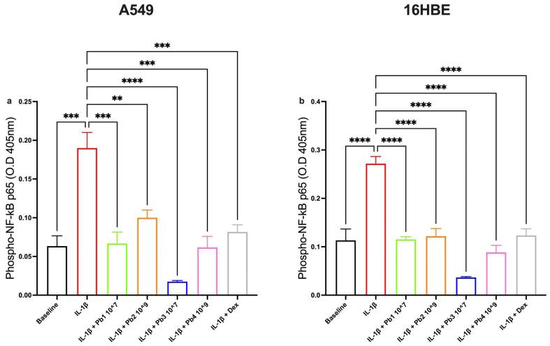 https://cdn.ncbi.nlm.nih.gov/pmc/blobs/6d2f/12348434/bc27ac33aeed/nutrients-17-02504-g008.jpg