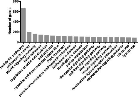 https://cdn.ncbi.nlm.nih.gov/pmc/blobs/6d2f/4328371/51b19877ac0d/12864_2015_1253_Fig3_HTML.jpg