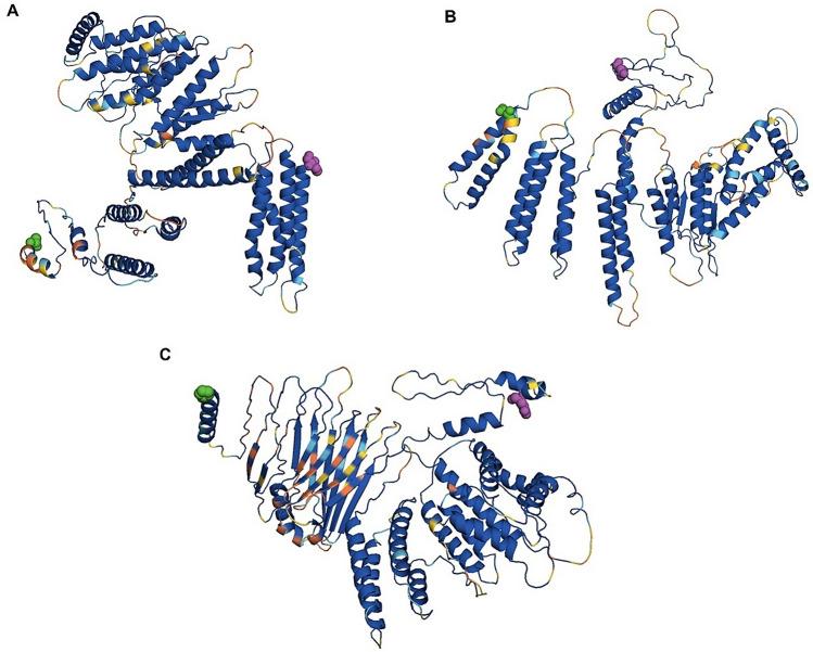 https://cdn.ncbi.nlm.nih.gov/pmc/blobs/6d30/11189486/1542f8b4edcf/41598_2024_64383_Fig3_HTML.jpg