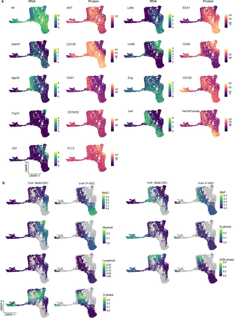 https://cdn.ncbi.nlm.nih.gov/pmc/blobs/6d31/11147777/9ce84c1955a1/41590_2024_1845_Fig11_ESM.jpg