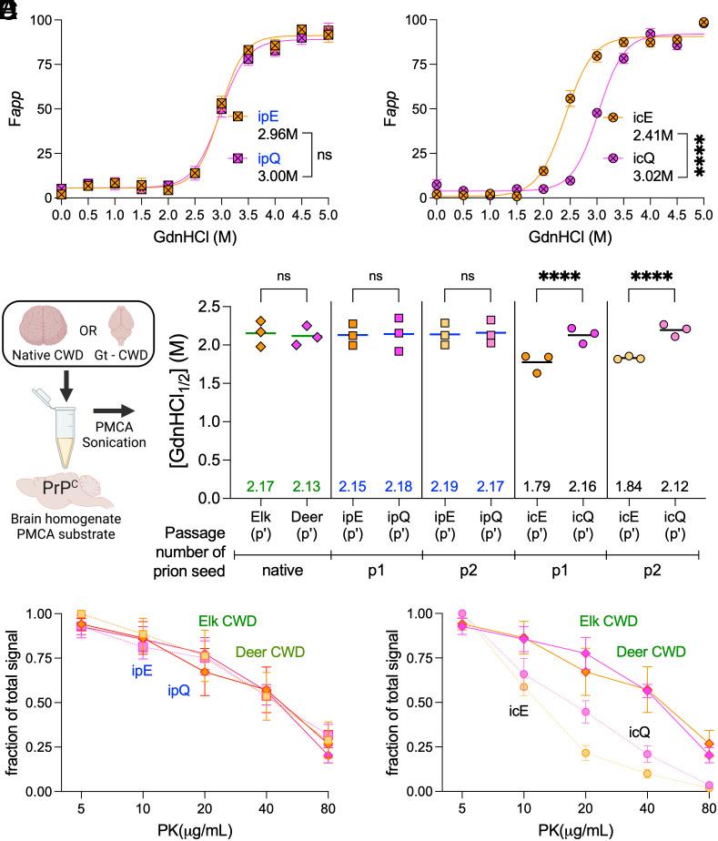 https://cdn.ncbi.nlm.nih.gov/pmc/blobs/6d31/11317562/6fe4fb2a554d/pnas.2402726121fig04.jpg
