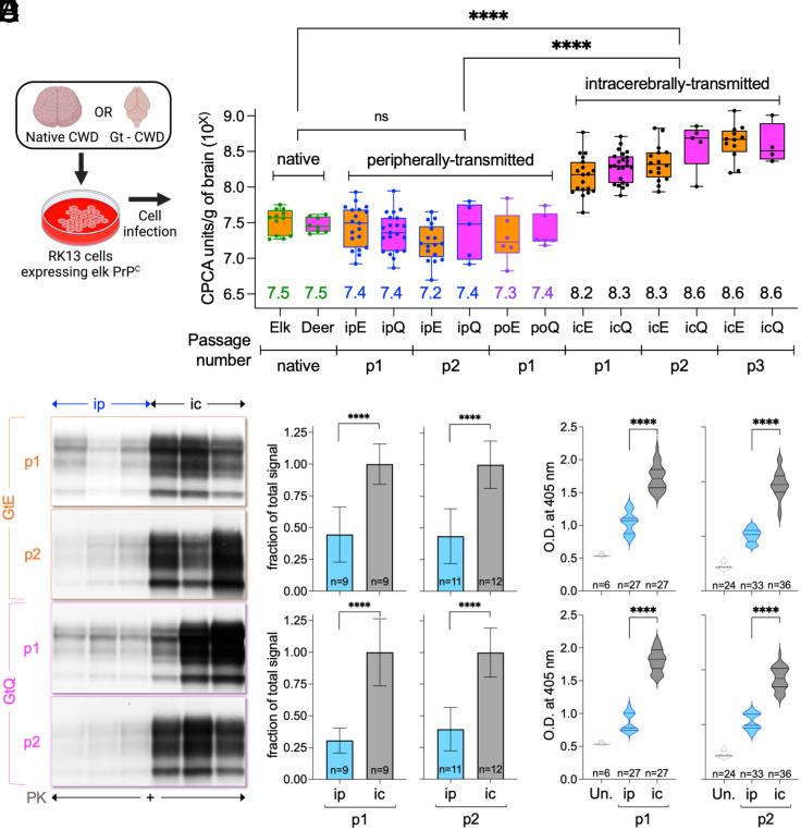 https://cdn.ncbi.nlm.nih.gov/pmc/blobs/6d31/11317562/74fba9c2f434/pnas.2402726121fig05.jpg