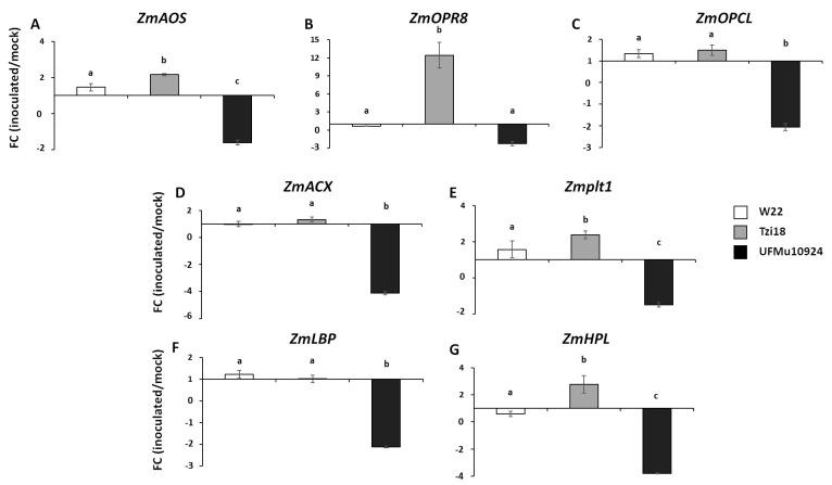 https://cdn.ncbi.nlm.nih.gov/pmc/blobs/6d32/7996282/2ee43bccebc2/genes-12-00335-g005.jpg