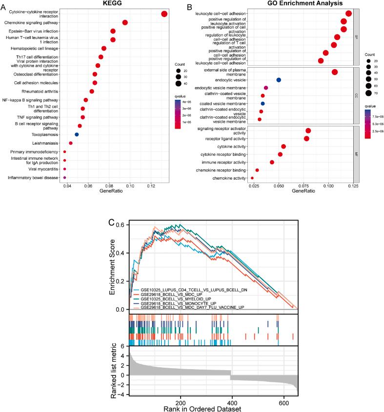 https://cdn.ncbi.nlm.nih.gov/pmc/blobs/6d33/9868484/ac8498082c22/gr3.jpg