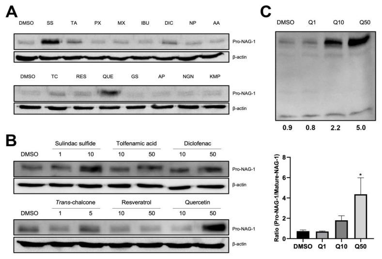 https://cdn.ncbi.nlm.nih.gov/pmc/blobs/6d35/8233818/7053df1eec90/cancers-13-03022-g003.jpg